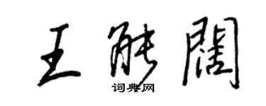 王正良王能闊行書個性簽名怎么寫