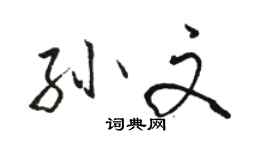 駱恆光孫文行書個性簽名怎么寫