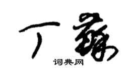 朱錫榮丁蘇草書個性簽名怎么寫