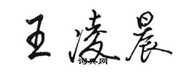 駱恆光王凌晨行書個性簽名怎么寫