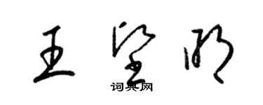 梁錦英王堅明草書個性簽名怎么寫