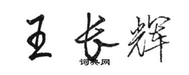 駱恆光王長輝行書個性簽名怎么寫