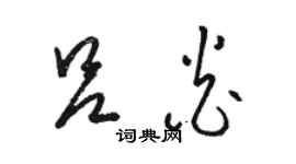 駱恆光呂炎草書個性簽名怎么寫