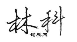 駱恆光林科行書個性簽名怎么寫