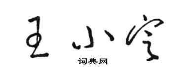 駱恆光王小定草書個性簽名怎么寫