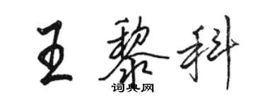 駱恆光王黎科行書個性簽名怎么寫