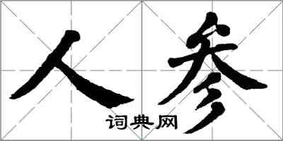 翁闓運人參楷書怎么寫