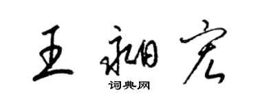 梁錦英王昶宏草書個性簽名怎么寫