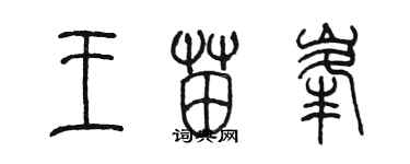 陳墨王苗峰篆書個性簽名怎么寫