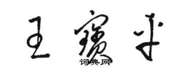 駱恆光王寶平草書個性簽名怎么寫