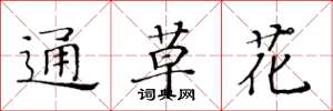 黃華生通草花楷書怎么寫