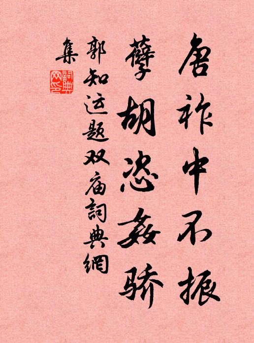 有辭欲說重酸辛，欲說未說眉再顰 詩詞名句