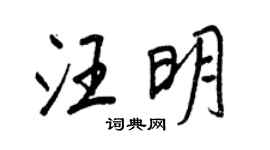 王正良汪明行書個性簽名怎么寫