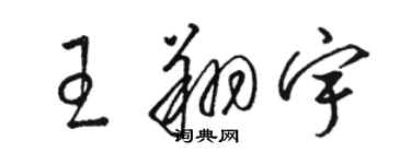 駱恆光王翔宇草書個性簽名怎么寫