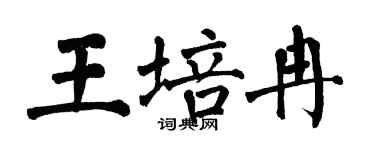 翁闓運王培冉楷書個性簽名怎么寫