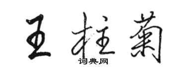 駱恆光王柱菊行書個性簽名怎么寫