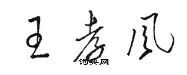 駱恆光王孝風草書個性簽名怎么寫