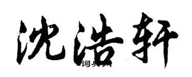 胡問遂沈浩軒行書個性簽名怎么寫