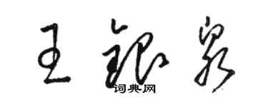 駱恆光王銀泉草書個性簽名怎么寫