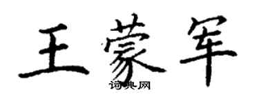 丁謙王蒙軍楷書個性簽名怎么寫