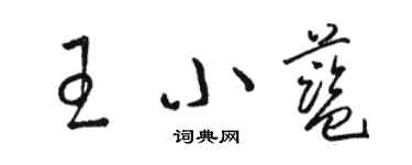 駱恆光王小藍草書個性簽名怎么寫