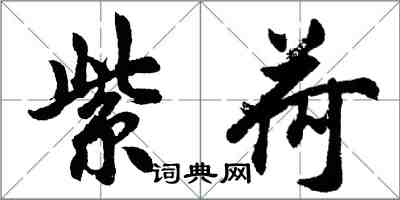 胡問遂紫荷行書怎么寫