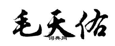 胡問遂毛天佑行書個性簽名怎么寫