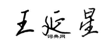 王正良王延星行書個性簽名怎么寫