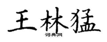 丁謙王林猛楷書個性簽名怎么寫