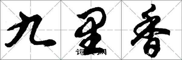 胡問遂九里香行書怎么寫