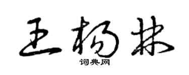 曾慶福王楊林草書個性簽名怎么寫