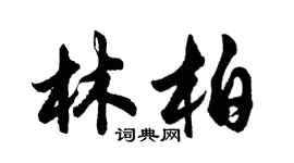 胡問遂林柏行書個性簽名怎么寫