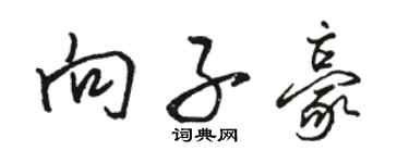 駱恆光向子豪行書個性簽名怎么寫