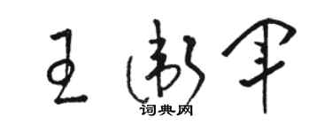 駱恆光王衛軍草書個性簽名怎么寫