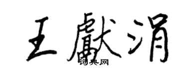王正良王獻涓行書個性簽名怎么寫