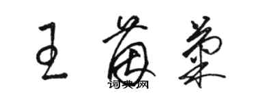 駱恆光王茵菊草書個性簽名怎么寫