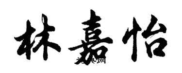 胡問遂林嘉怡行書個性簽名怎么寫