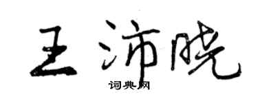 曾慶福王沛曉行書個性簽名怎么寫