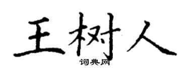 丁謙王樹人楷書個性簽名怎么寫
