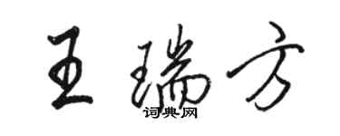 駱恆光王瑞方行書個性簽名怎么寫
