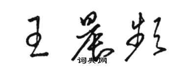 駱恆光王晨頻草書個性簽名怎么寫