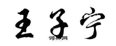 胡問遂王子寧行書個性簽名怎么寫