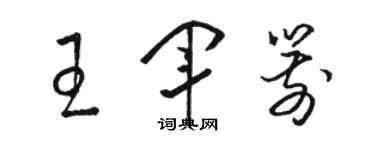 駱恆光王軍箭草書個性簽名怎么寫