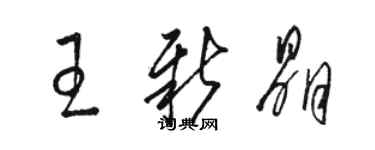 駱恆光王新晶草書個性簽名怎么寫