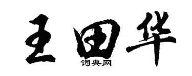 胡問遂王田華行書個性簽名怎么寫