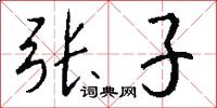 張子怎么寫好看