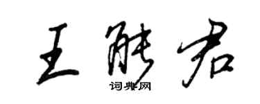 王正良王能君行書個性簽名怎么寫