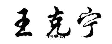 胡問遂王克寧行書個性簽名怎么寫