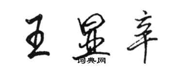 駱恆光王顯辛行書個性簽名怎么寫