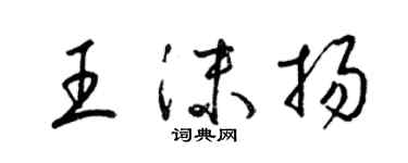 梁錦英王沫揚草書個性簽名怎么寫